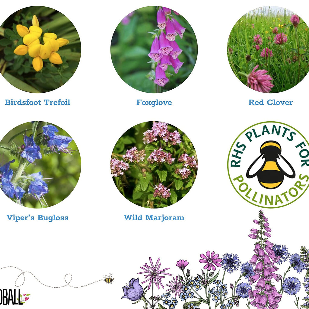 Seedball Bee Mix 100-Ball Wildflower Grab Bag - Yellow