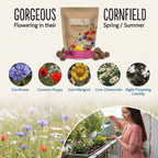 Seedball Annuals Mix 100-Ball Wildflower Grab Bag - Pink