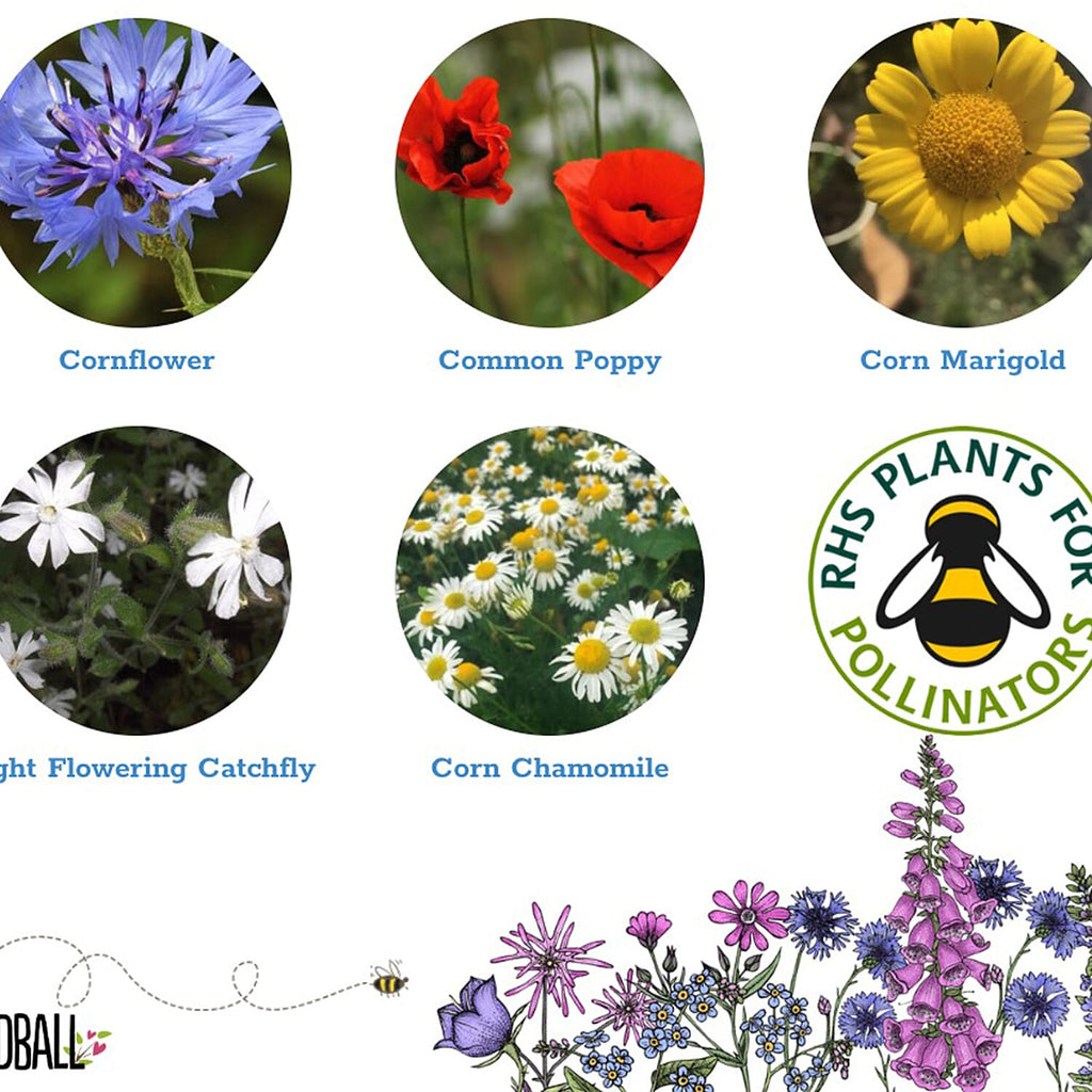 Seedball Annuals Mix 100-Ball Wildflower Grab Bag - Pink