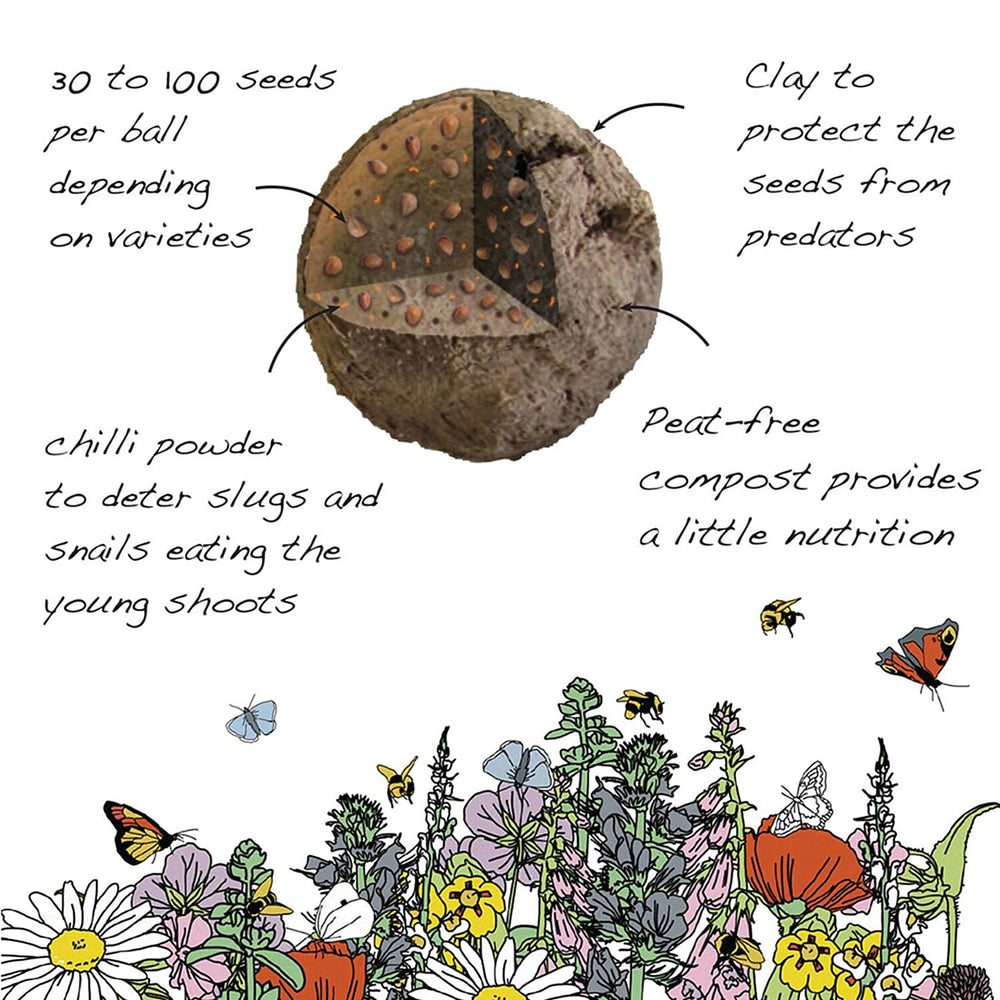 Seedball Poppy Mix 100-Ball Wildflower Grab Bag - Red