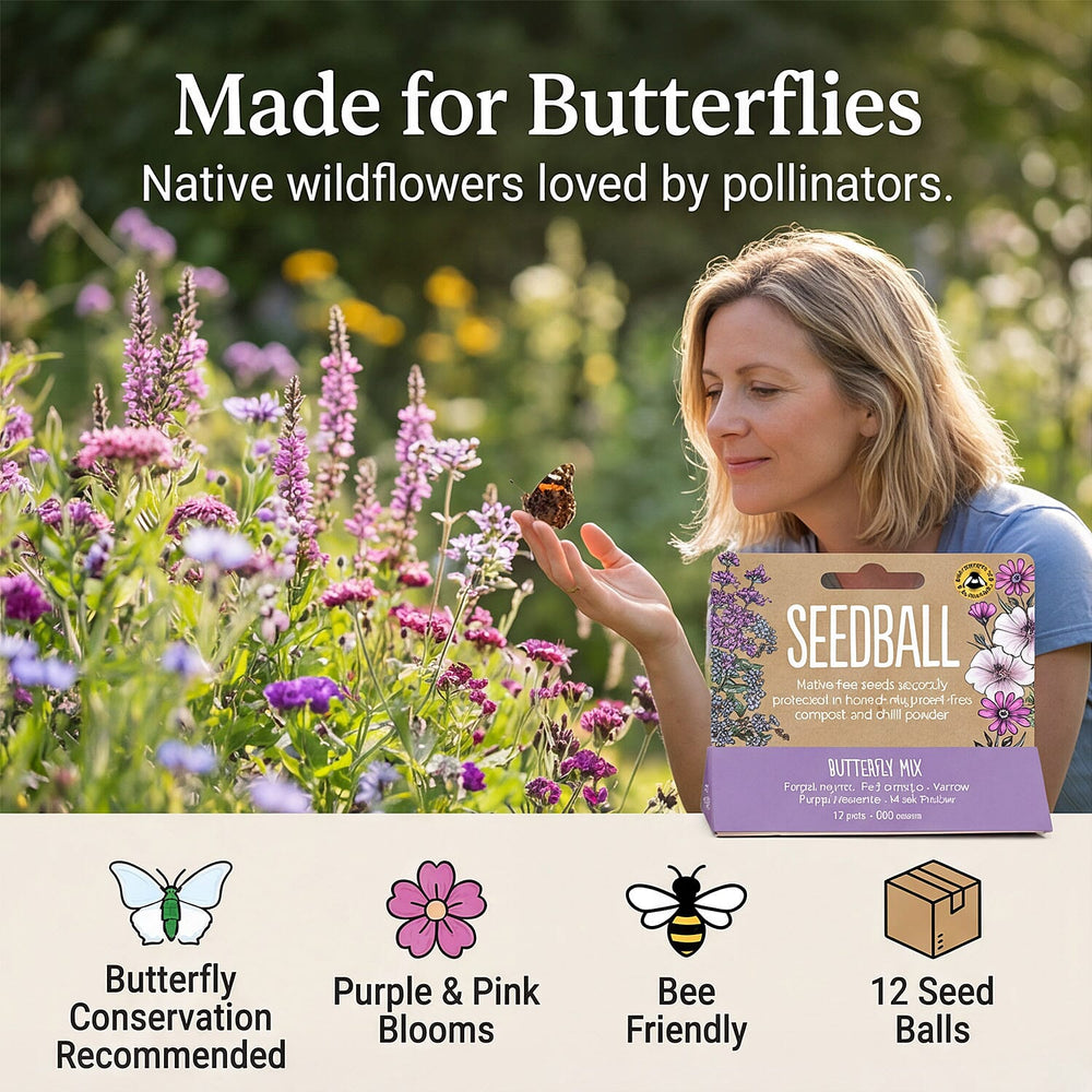 Seedball Bee Mix 12-Ball Wildflower Hanging Pack - Purple