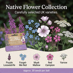 Seedball Bee Mix 12-Ball Wildflower Hanging Pack - Purple