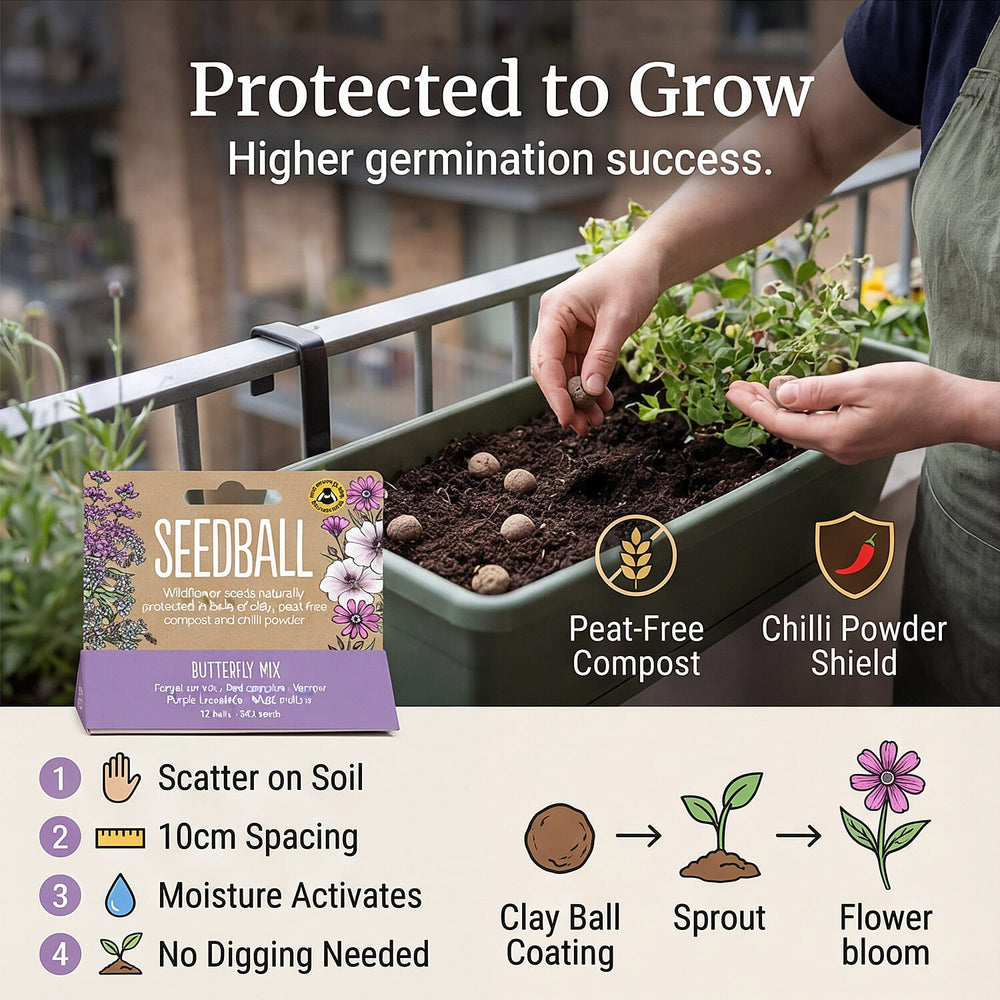 Seedball Bee Mix 12-Ball Wildflower Hanging Pack - Purple