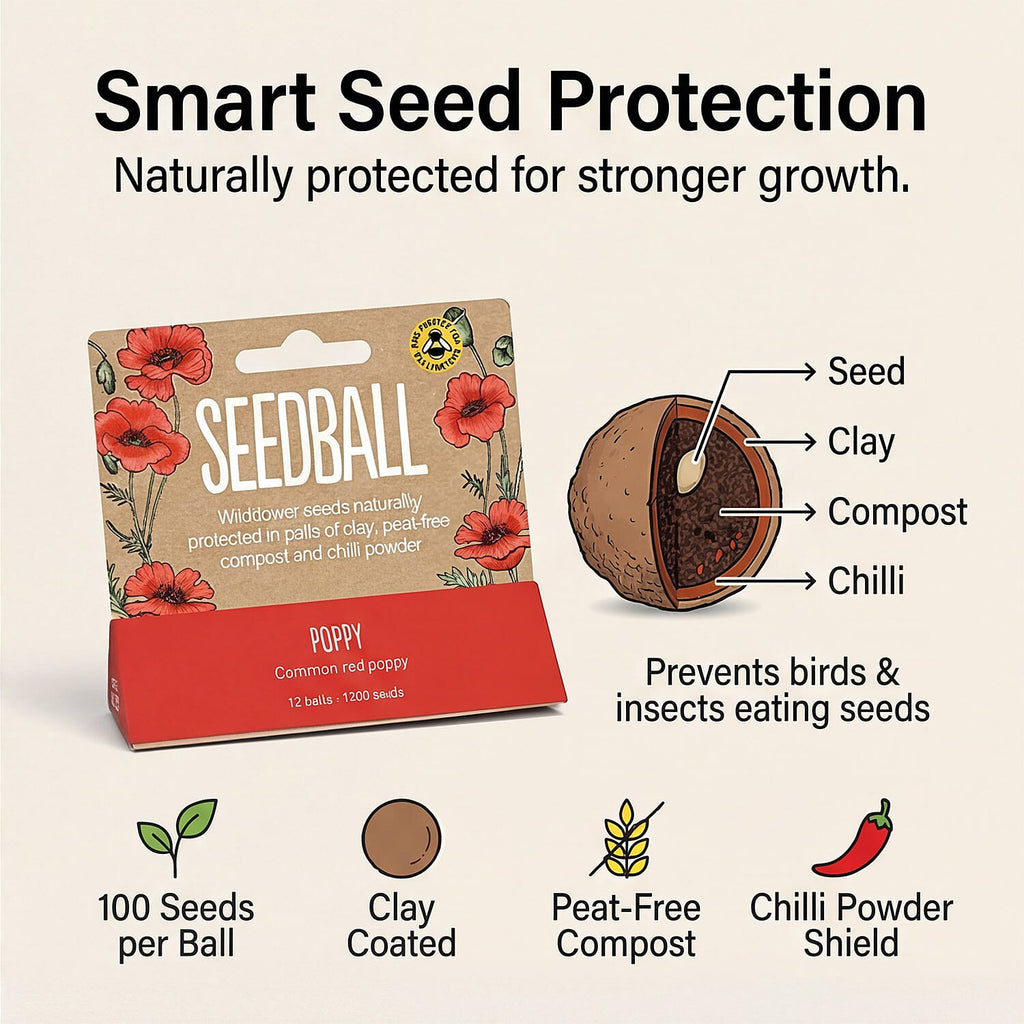 Seedball Bee Mix 12-Ball Wildflower Hanging Pack - Red