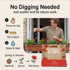 Seedball Bee Mix 12-Ball Wildflower Hanging Pack - Red