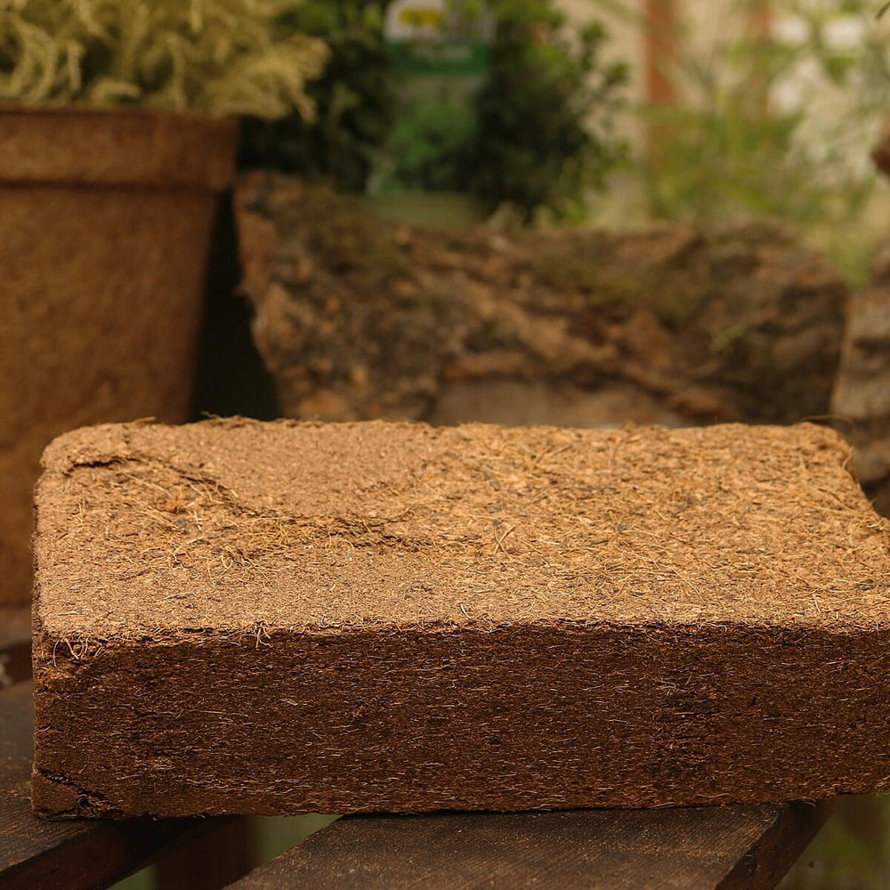 Coir Vital Grow Peat-Free Potting Mix - Sustainable Coconut Coir Substrate for Houseplants, Vegetables, and Containers with Superior Drainage and Neutral pH
