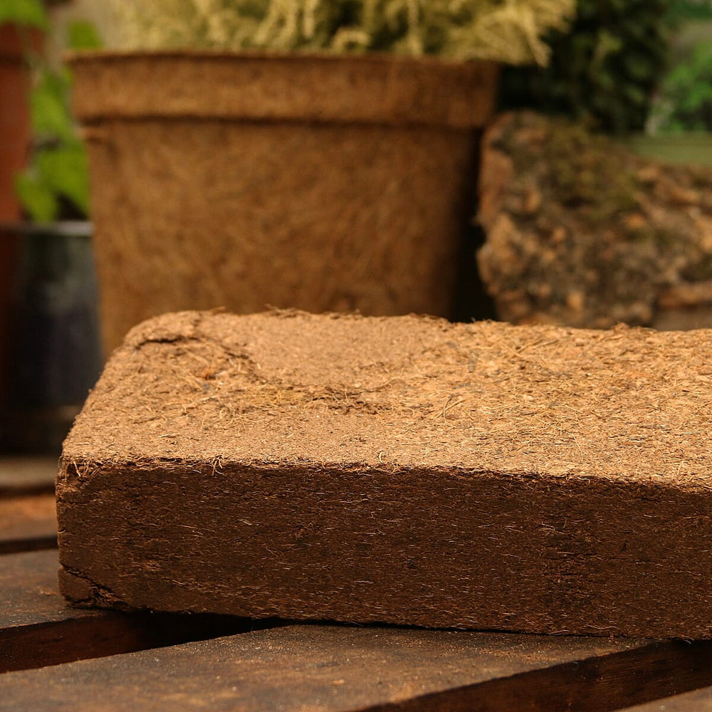Coir Vital Grow Peat-Free Potting Mix - Sustainable Coconut Coir Substrate for Houseplants, Vegetables, and Containers with Superior Drainage and Neutral pH
