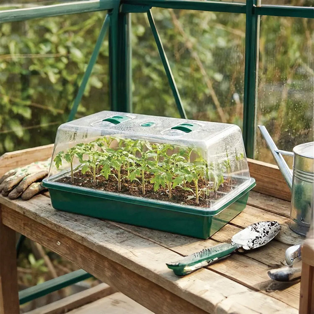 DEKTON - Mini Greenhouse Propagator