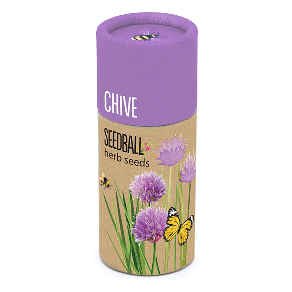 Chive Seed Ball Tube - Purple