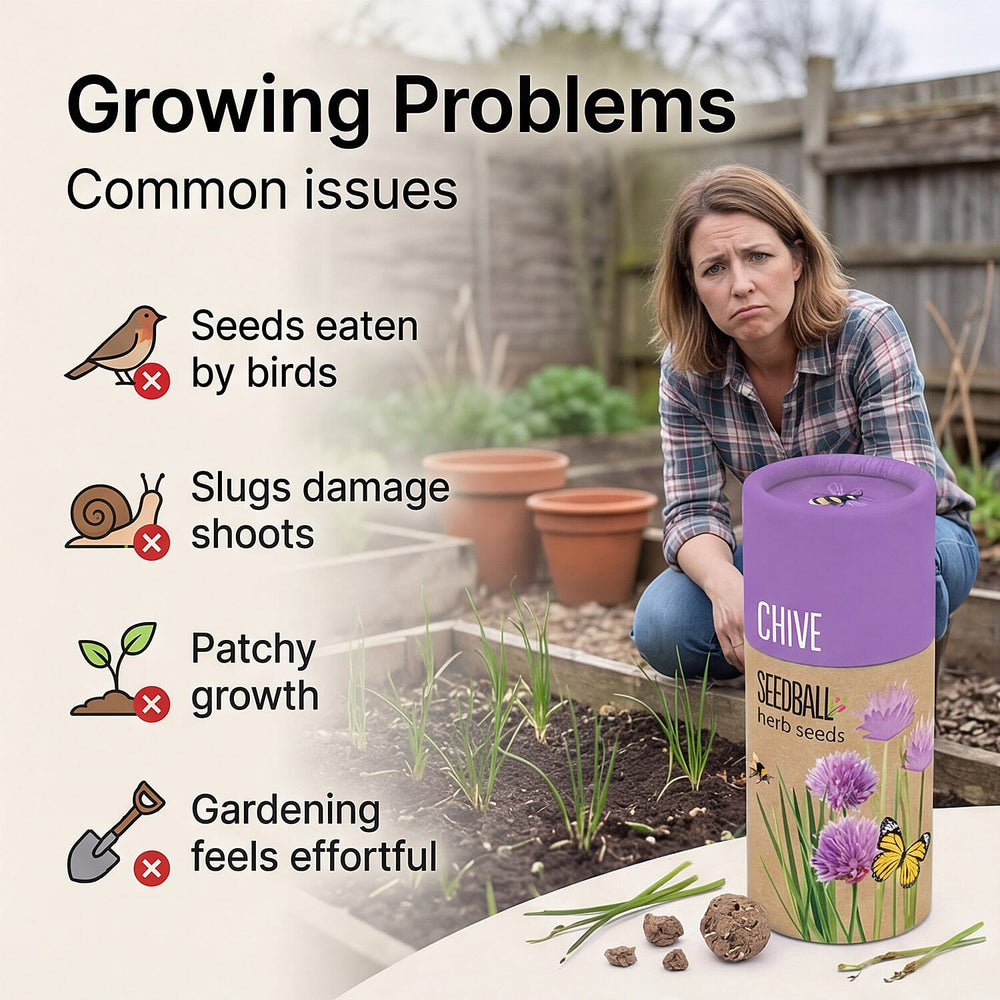 Chive Seed Ball Tube - Purple
