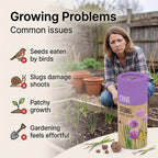 Chive Seed Ball Tube - Purple