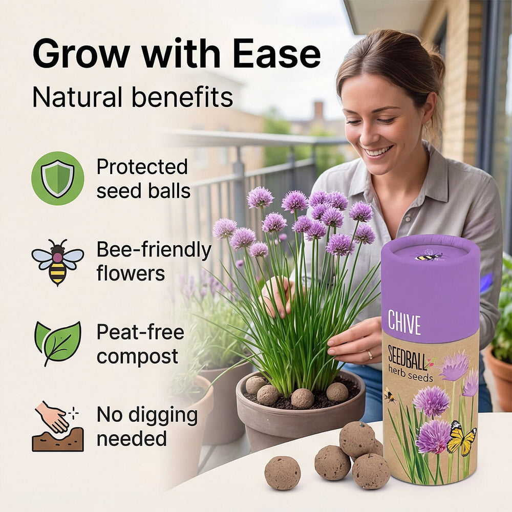 Chive Seed Ball Tube - Purple