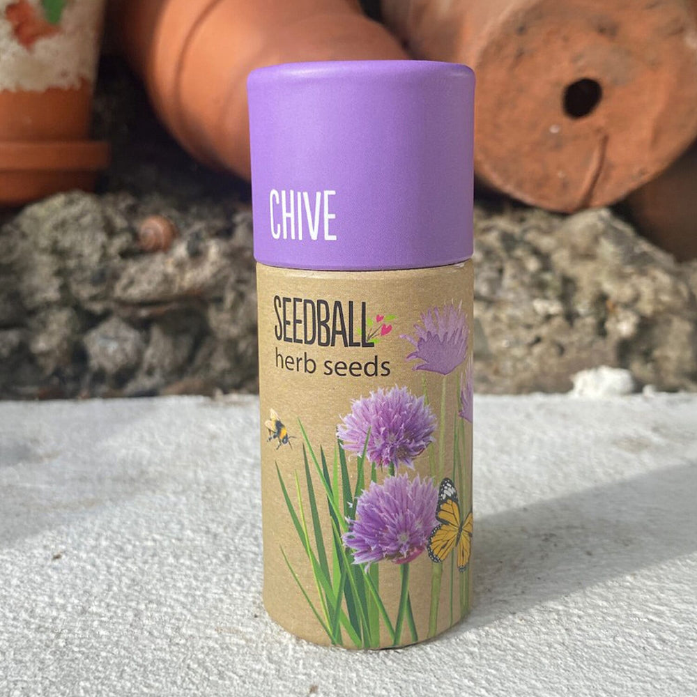 Chive Seed Ball Tube - Purple