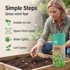 Mint Seed Ball Tube