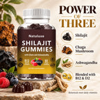 Natuluxe Shilajit Gummies_8577364_3