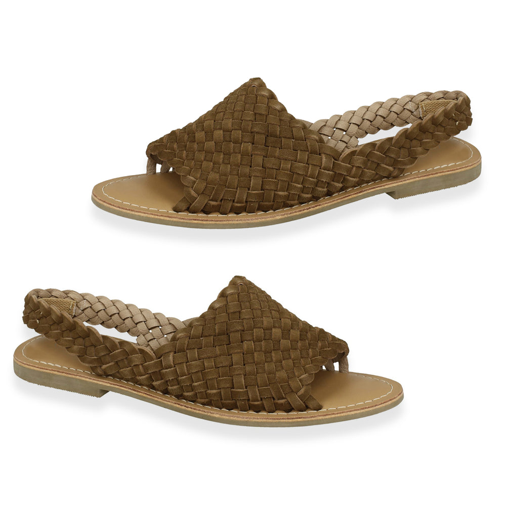 8589615.jpg
