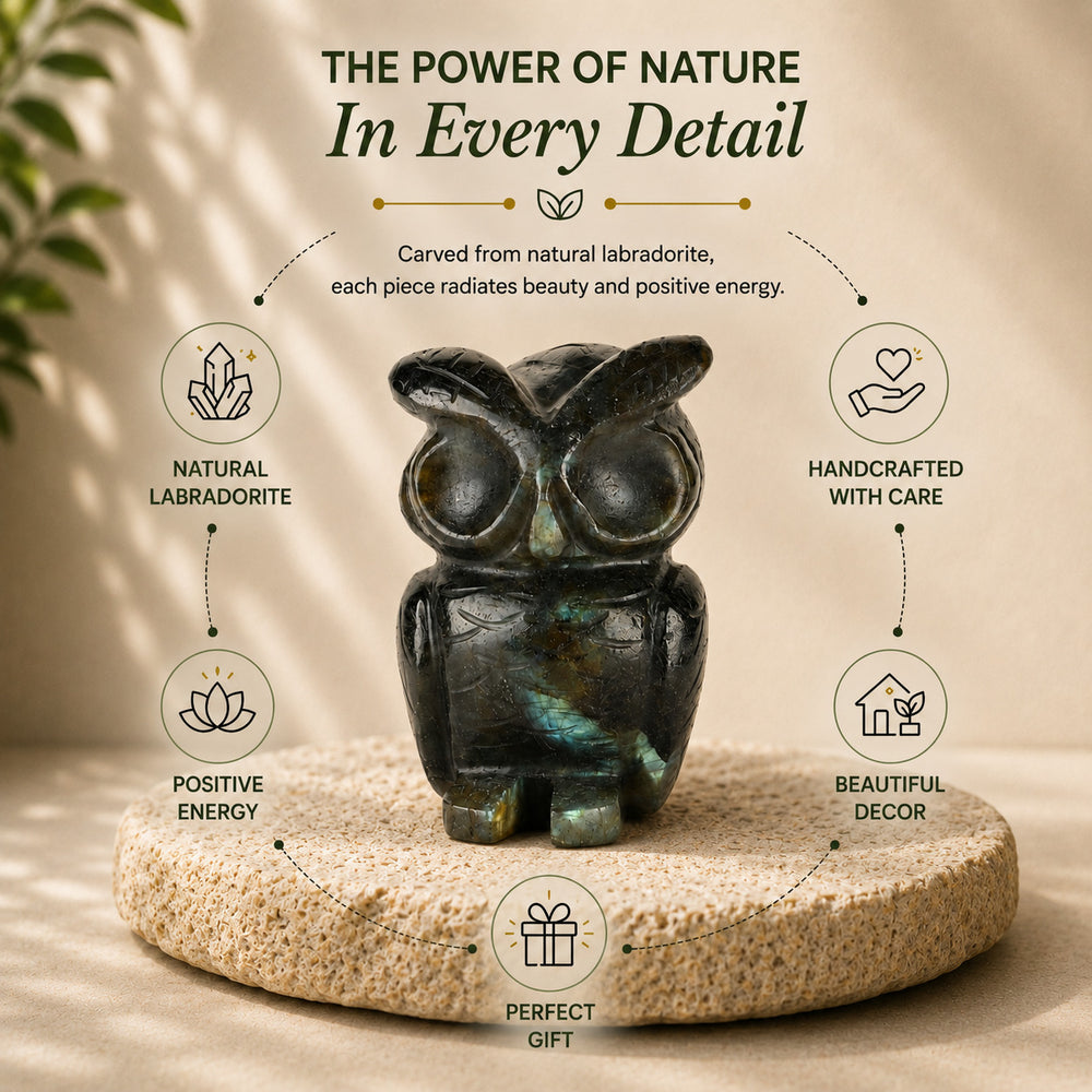 Bliss & Beyond Hand Carved Natural Labradorite Gemstone Owl Figurine (6-6.5cm) - Dark Green_8594748_2