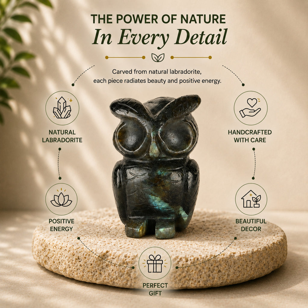 Bliss & Beyond Hand Carved Natural Labradorite Gemstone Owl Figurine (6-6.5cm) - Dark Green_8594748_2