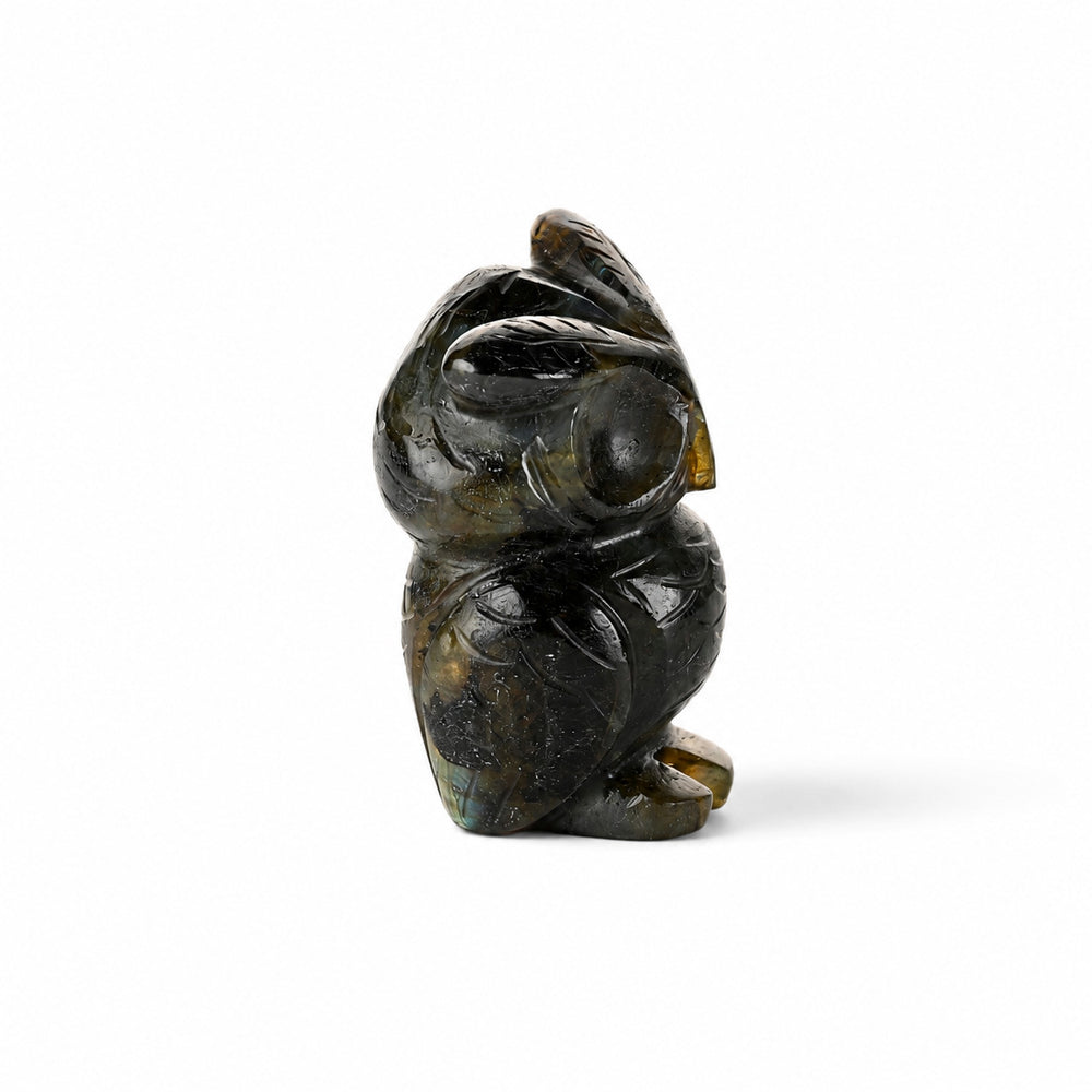 Bliss & Beyond Hand Carved Natural Labradorite Gemstone Owl Figurine (6-6.5cm) - Dark Green_8594748_4