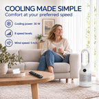 Bliss & Beyond Cooling & Heating Bladeless Fan with Air Purifier, Remote & HEPA Filter