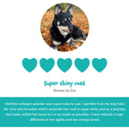 "  Everyday Collagen for dogs"_8724154_2