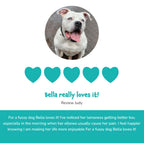"  Everyday Collagen for dogs"_8724154_3
