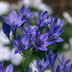 8859003_2.jpg