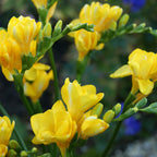8859003_4.jpg