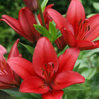 8859003_5.jpg