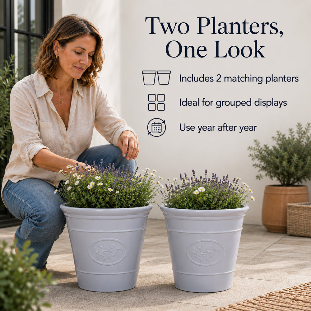 Gardening Direct Pair of Premium Olive Branch Grey Planters 30cm_8883075_5
