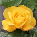 8894935_2.jpg
