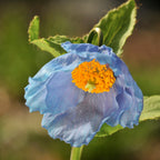 8899080_2.jpg