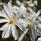 8920129_1.jpg