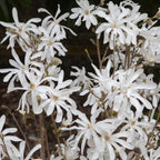 8920129_3.jpg