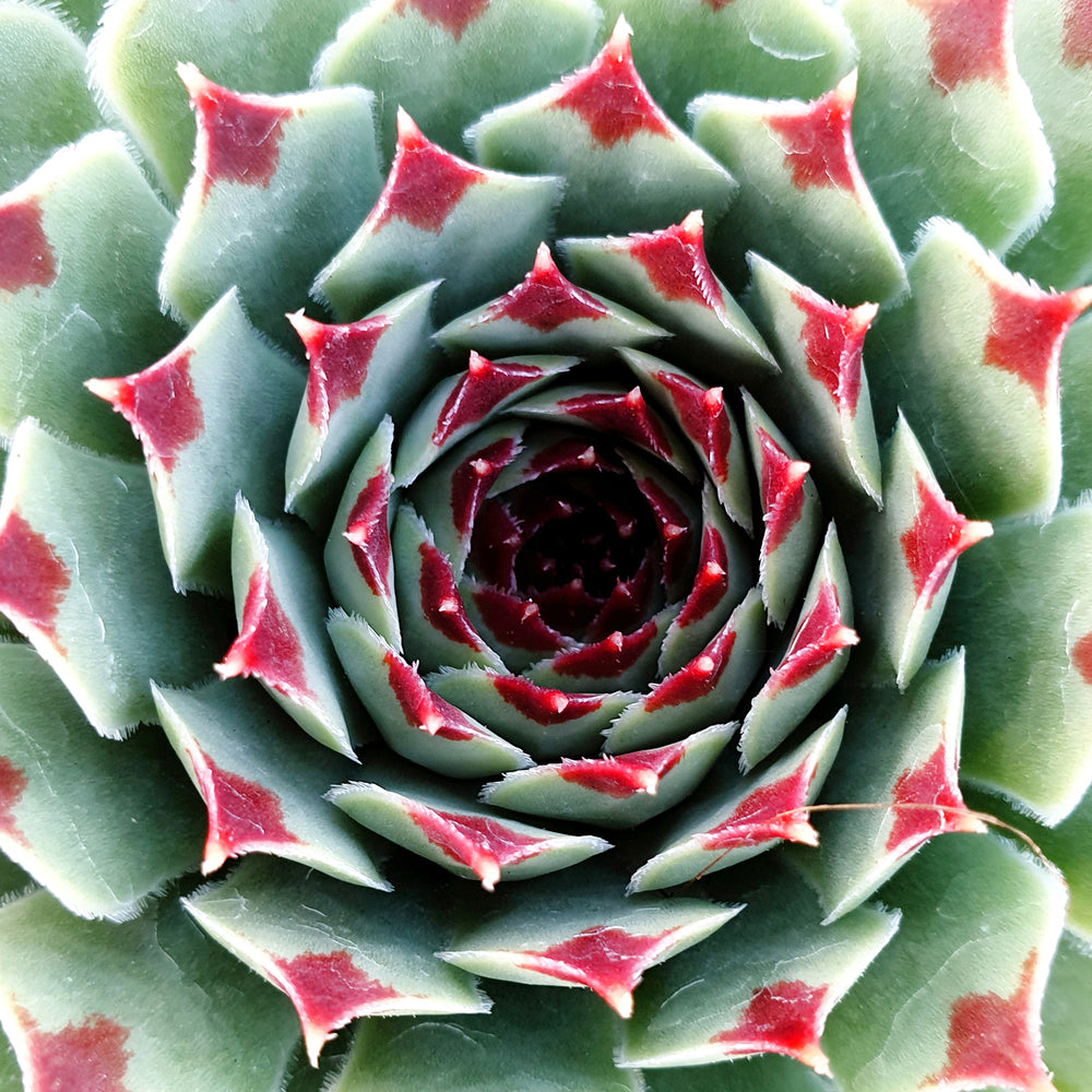 8927796_4.jpg