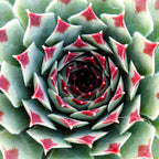 8927796_4.jpg