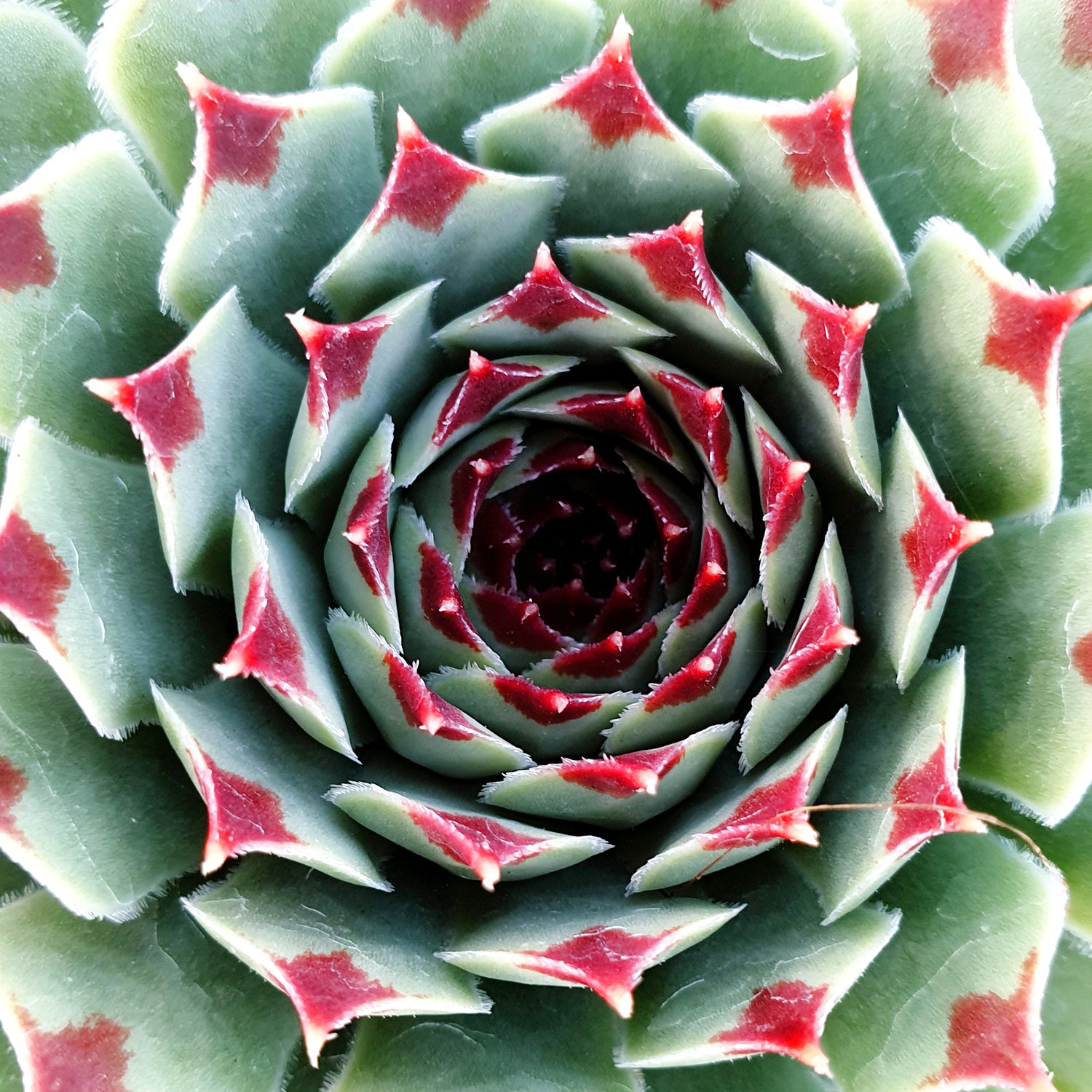 8927796_4.jpg