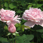8927825_5.jpg