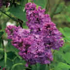8949140_3.jpg