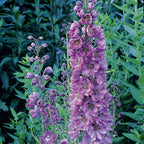 8949352_3.jpg