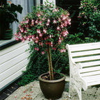 8960199_4.jpg