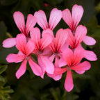 8960273_2.jpg