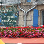 8960273_4.jpg