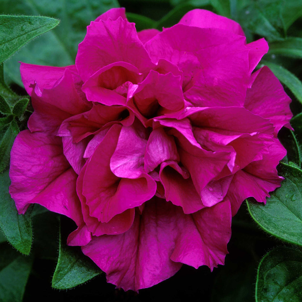8960306_6.jpg