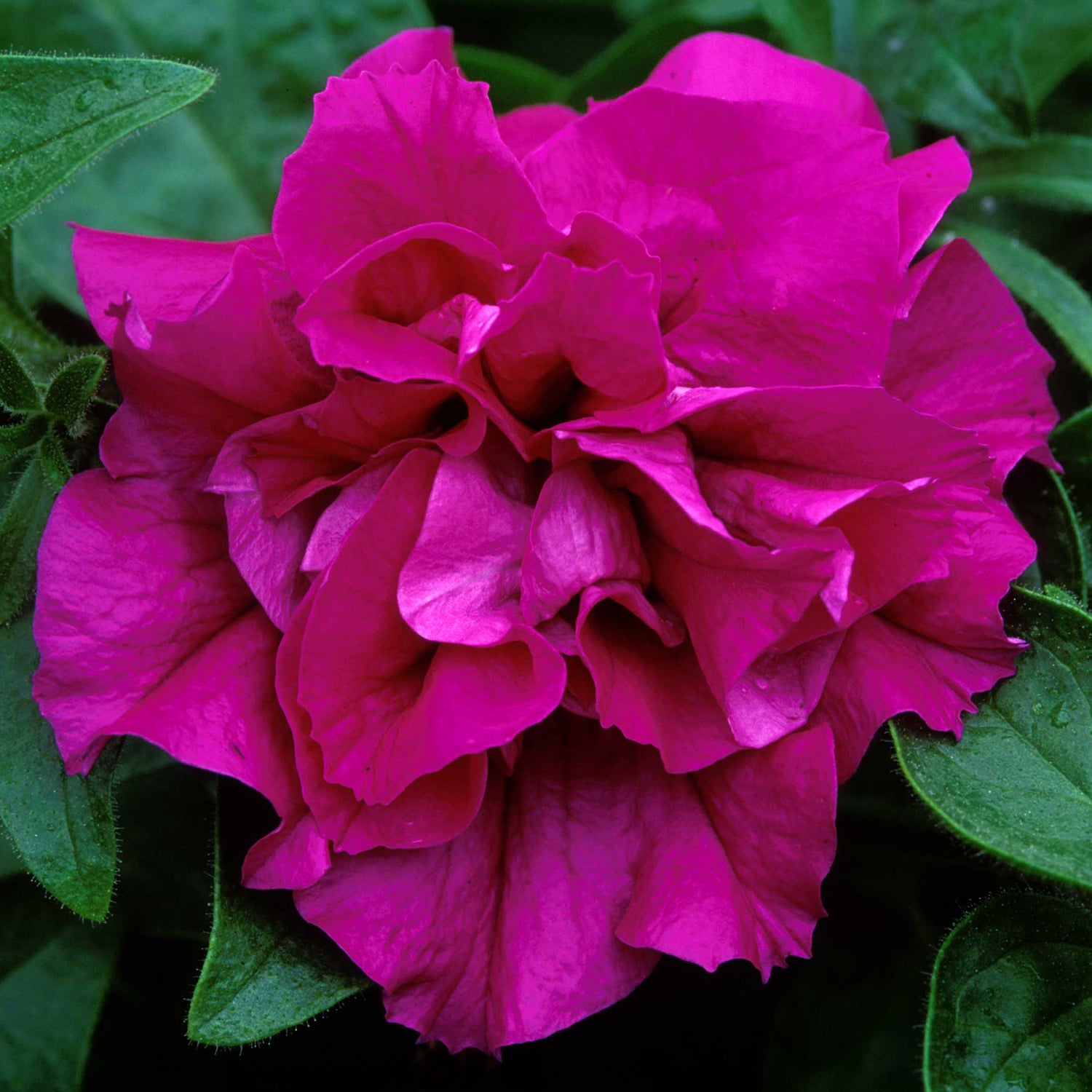 8960306_6.jpg