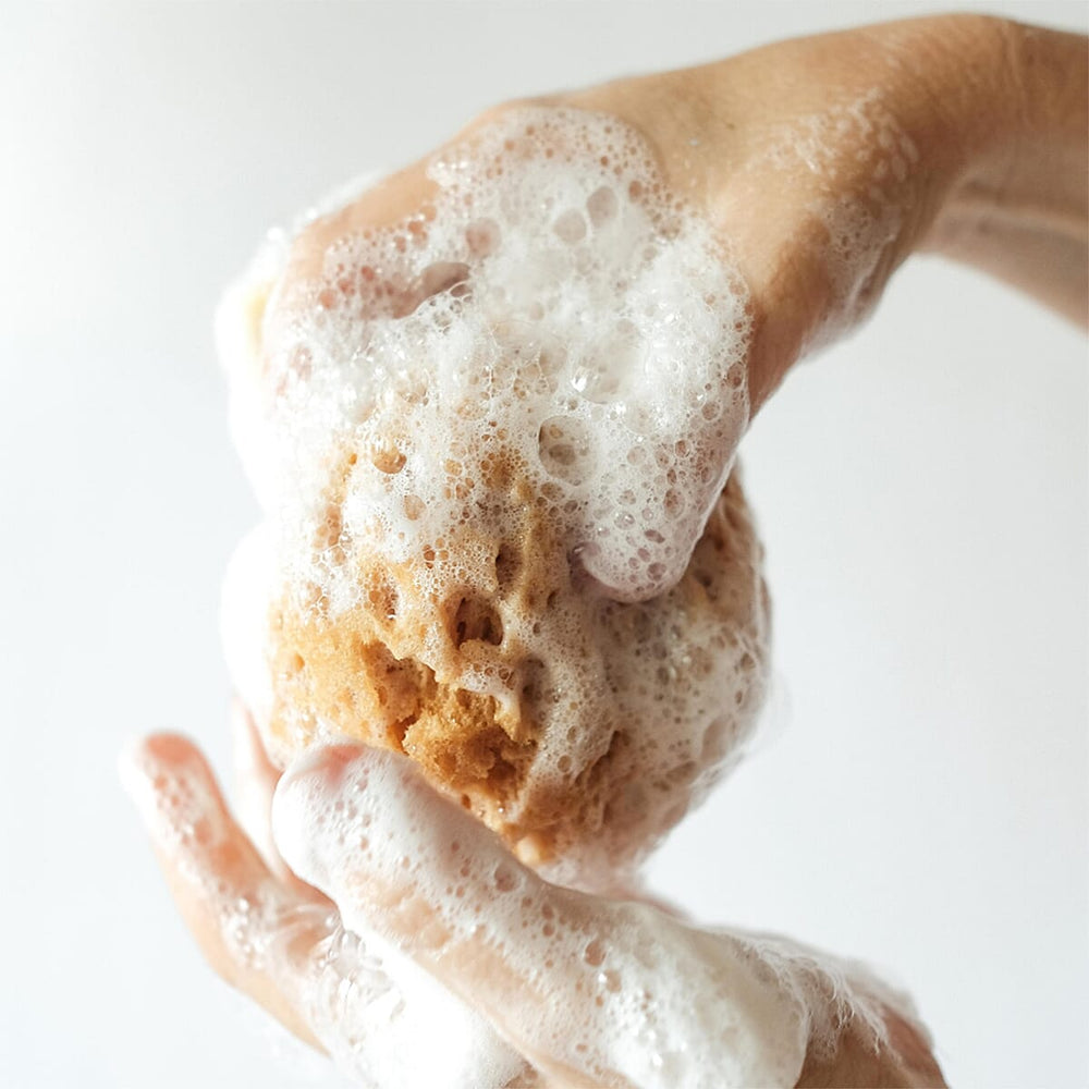 Alma K. Soap Infused Bath Sponge