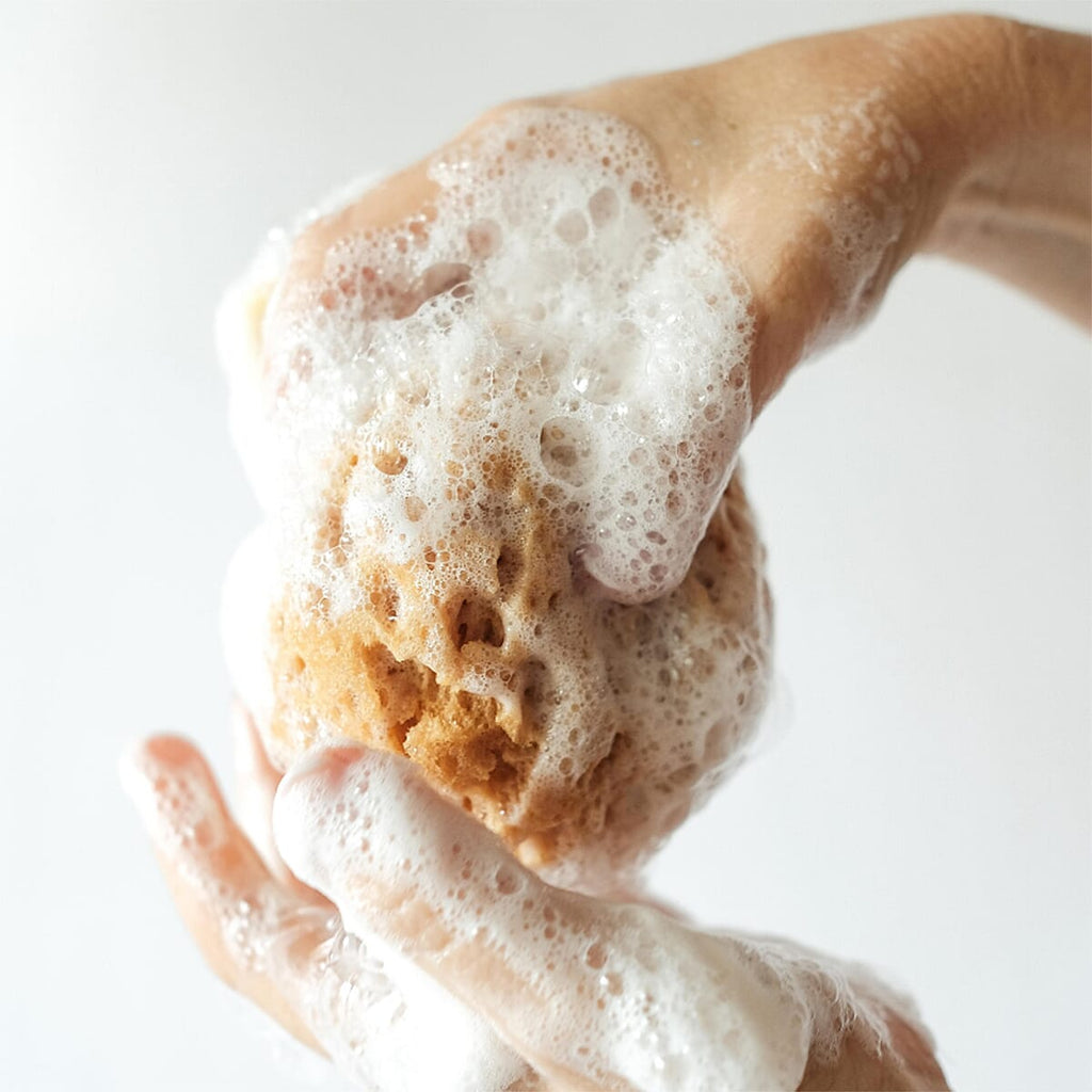 Alma K. Soap Infused Bath Sponge