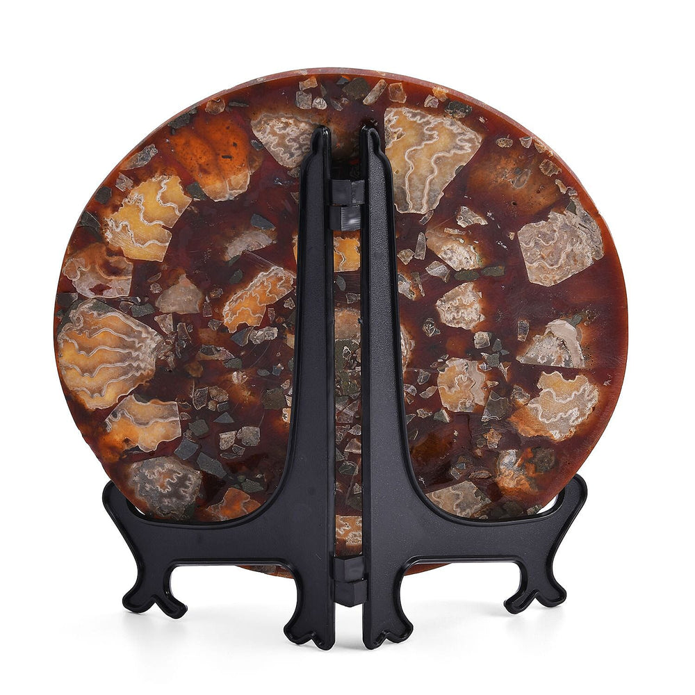 Limited Available - Natural Ammonite Fossil Shell Home Decor 4300ct