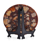 Limited Available - Natural Ammonite Fossil Shell Home Decor 4300ct