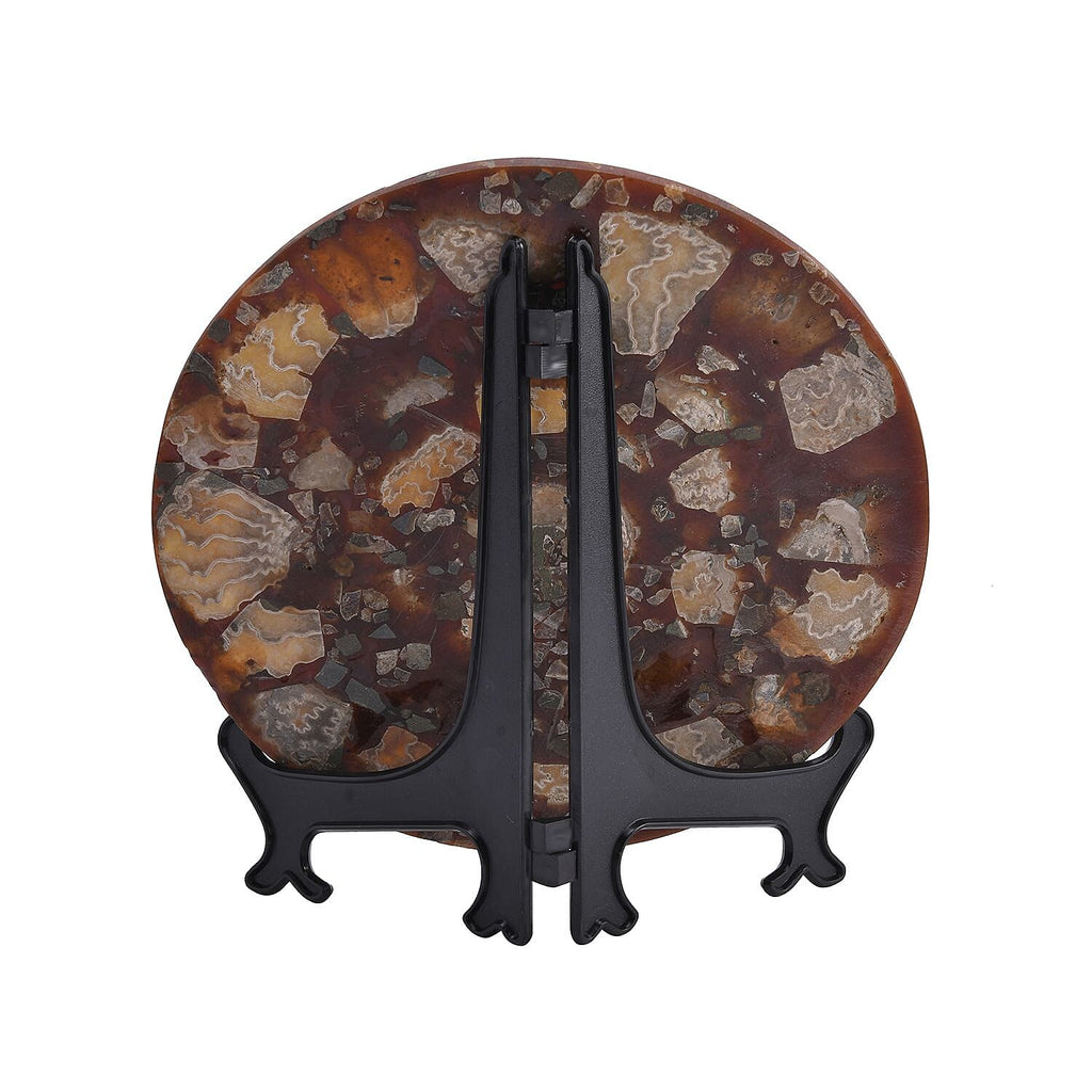 Limited - Natural Ammonite Fossil Home Decor With Stand and Presentation Box 4300 Ct